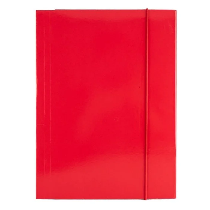 Fascikla A5 600gr, lastika