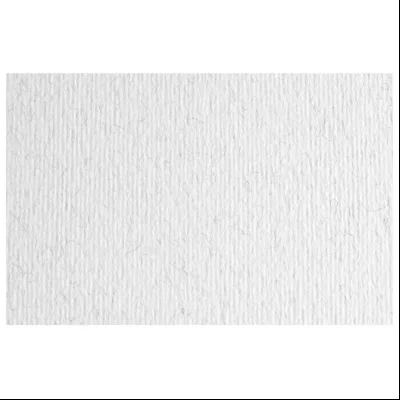 Papir u boji B1 220g Elle Erre Fabriano 46470129 prskano beli (brina)