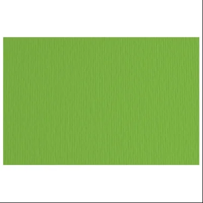 Papir u boji B1 220g Elle Erre Fabriano 46470111 tamno zeleni (verde)