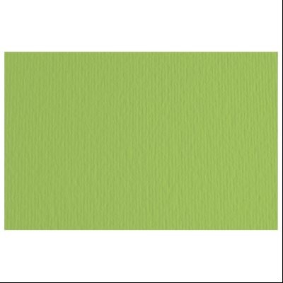 Papir u boji B1 220g Elle Erre Fabriano 46470110 zeleni (verde pisello)