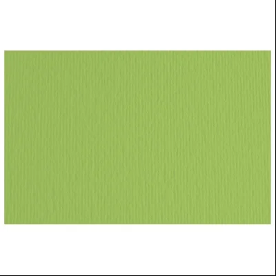 Papir u boji B2 220g Elle Erre Fabriano 42450710 zeleni (verde pisello)