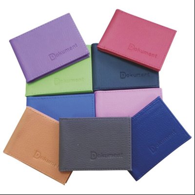 Korice za platne kartice sa 10 folija vodoravne Gea Graf 15561 sortirano