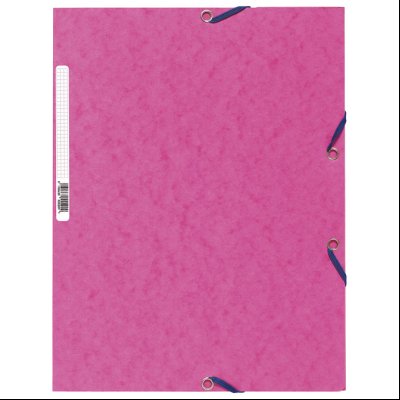 Fascikla klapna s gumicom chartreuse A4 FSC Exacompta 55520E roze
