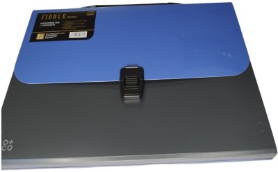 Fascikla sa ručkom i 13 pregrada A4, metallic
