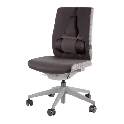 Lumbalni oslonac za leđa Professional Series™ – podesiv