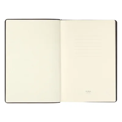 ALAMO, notes a5, braon