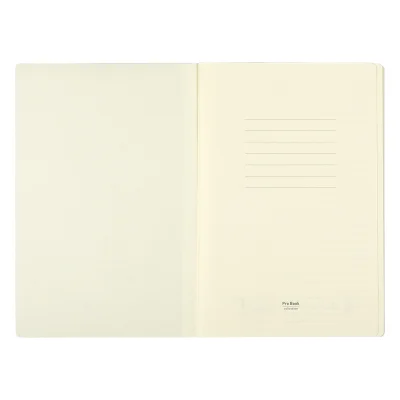 TISA, notes a5, maslinasti