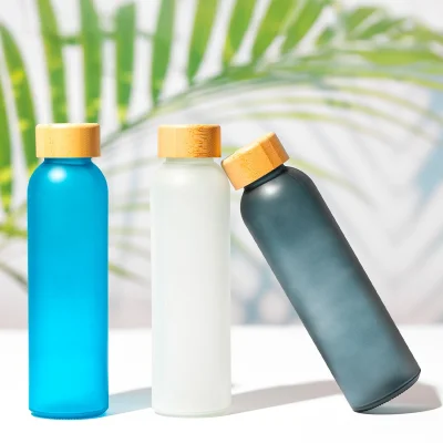 RIVA, boca za vodu, 500 ml, transparentna
